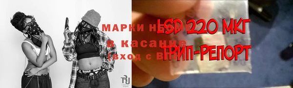 прущий лед Арсеньев