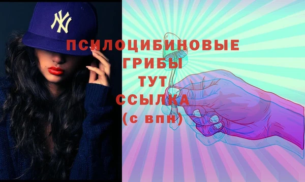 прущий лед Арсеньев