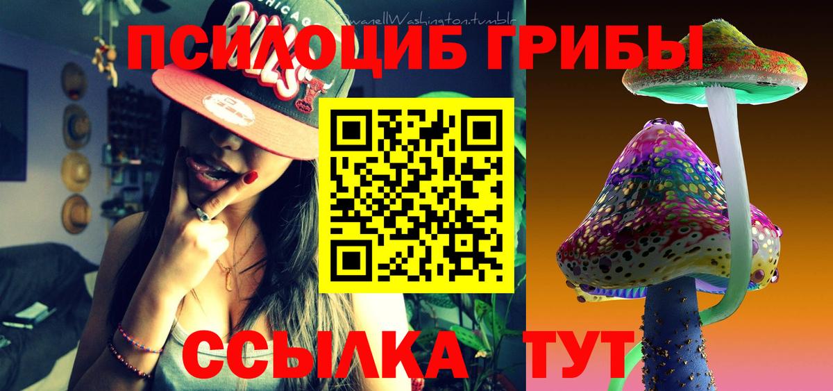 Галлюциногенные грибы Cubensis Северодвинск