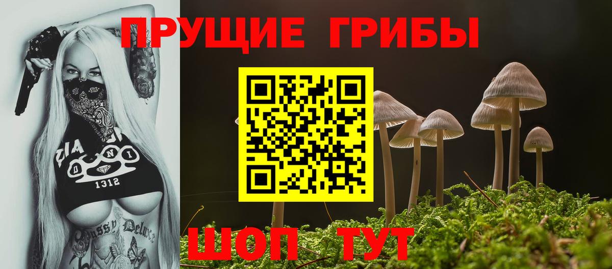 Псилоцибиновые грибы Magic Shrooms  Северодвинск 