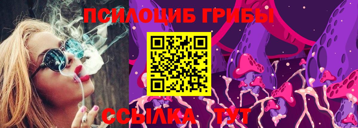 Галлюциногенные грибы прущие грибы  Вход с VPN  Северодвинск 